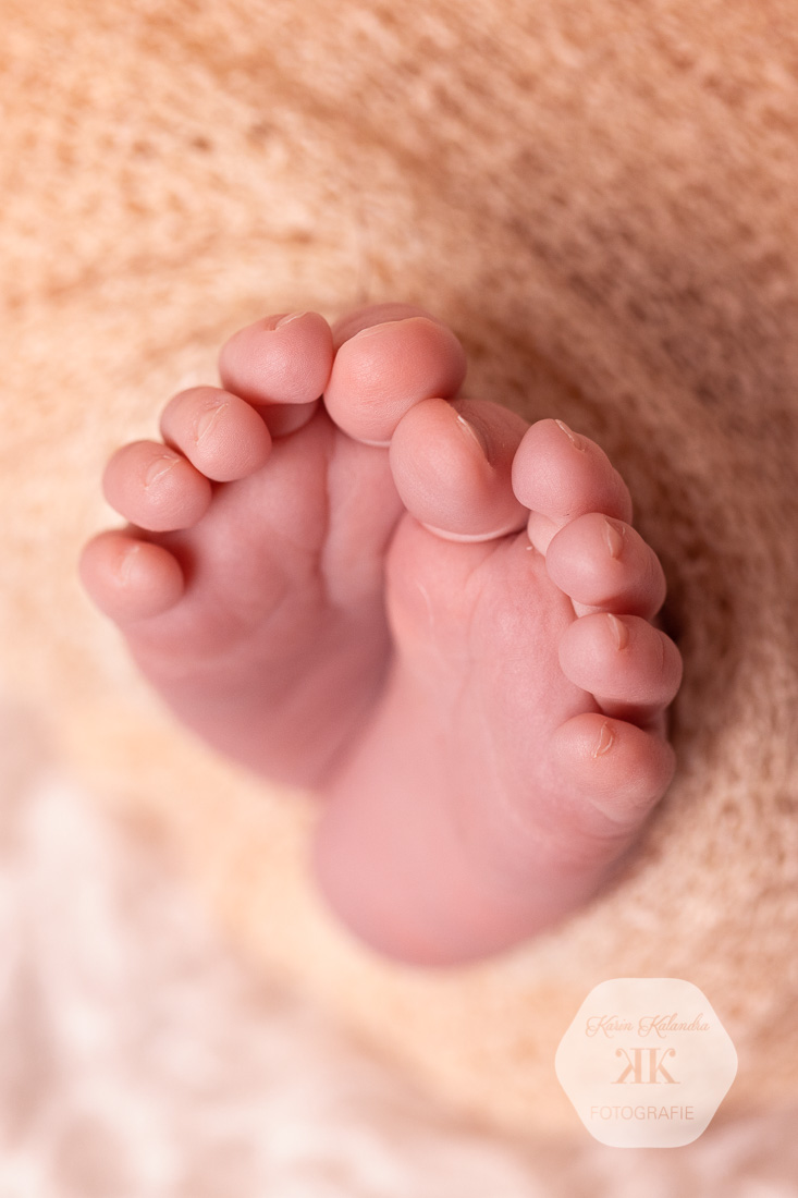 Neugeborenen-Fotoshooting #10